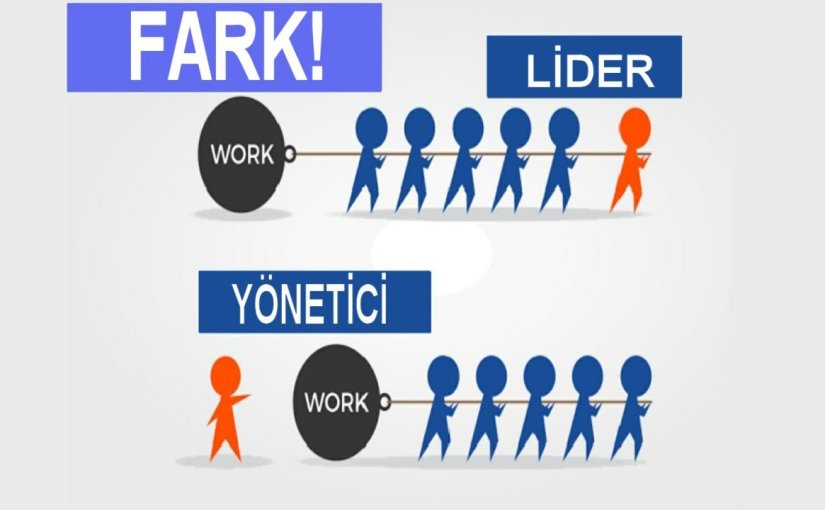 Firma Rehberleri Ücretsiz