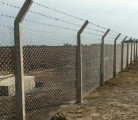 Zengin Aydın Tel örgü tel çit çim çit panel çit